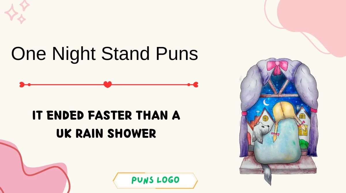 One Night Stand Puns