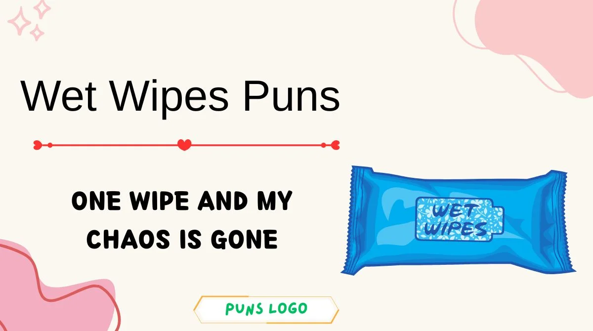 Wet Wipes Puns
