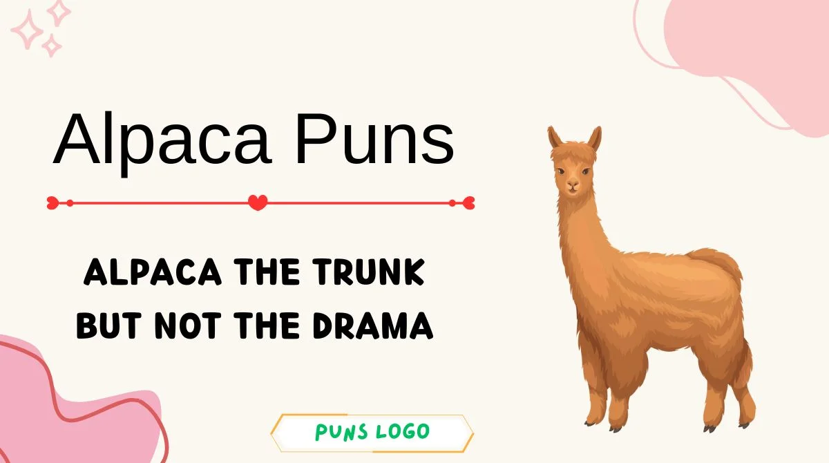 Alpaca Puns
