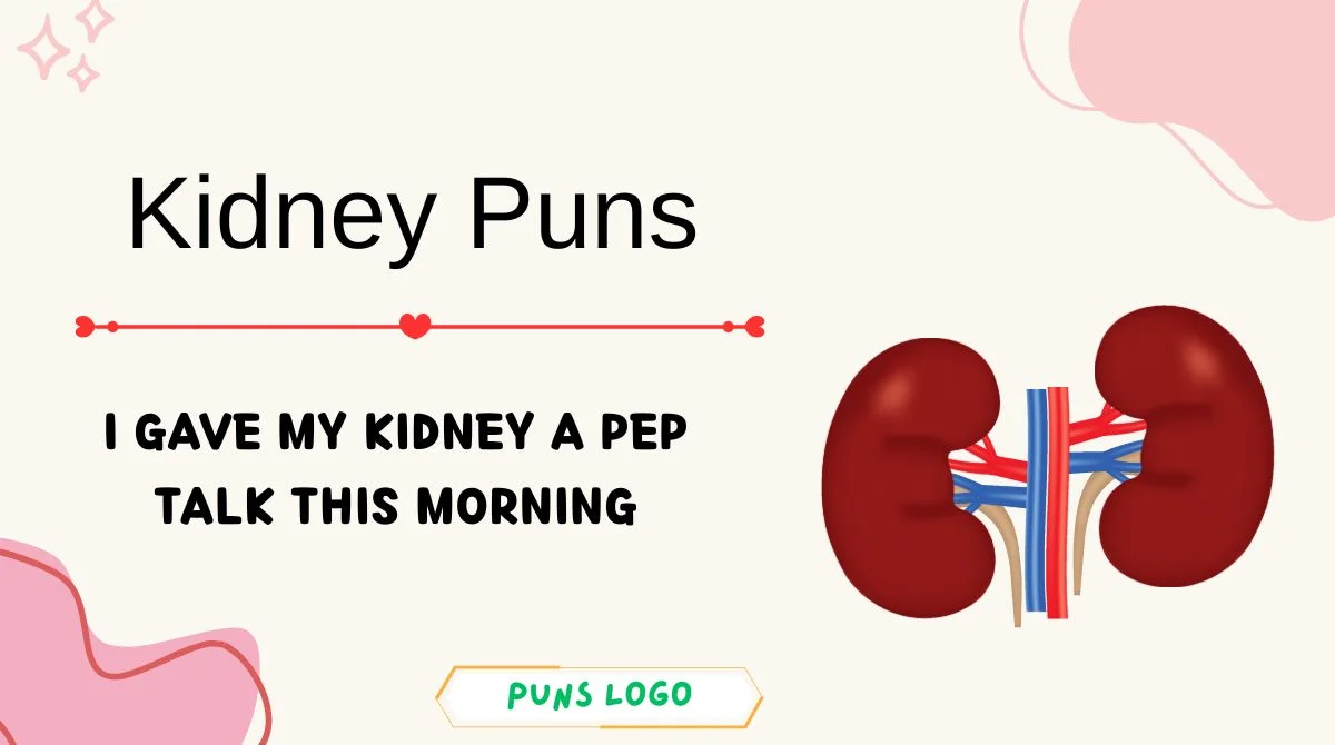 Kidney Puns