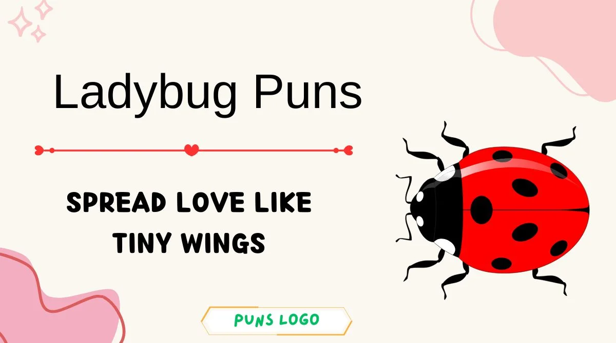 Ladybug Puns