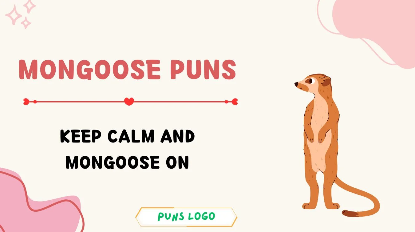 Mongoose Puns