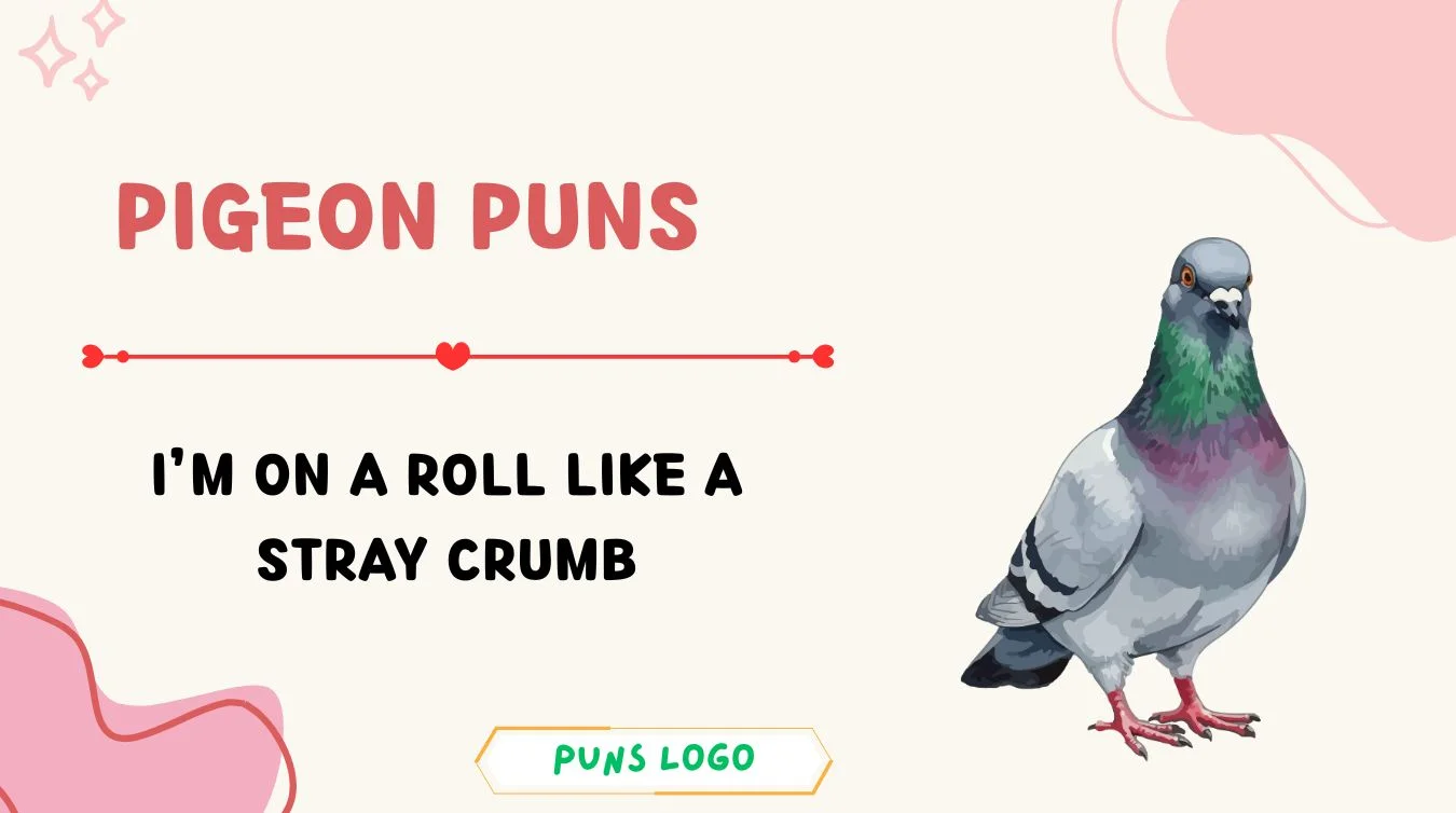Pigeon Puns