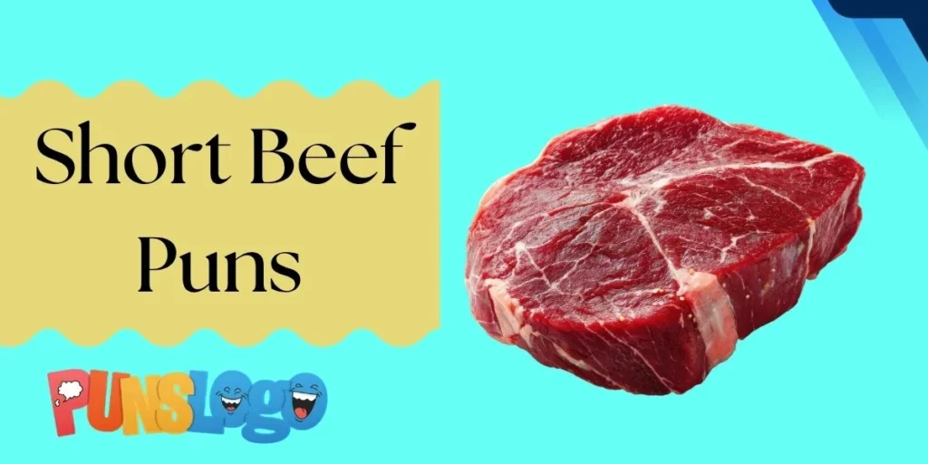 Short Beef Puns