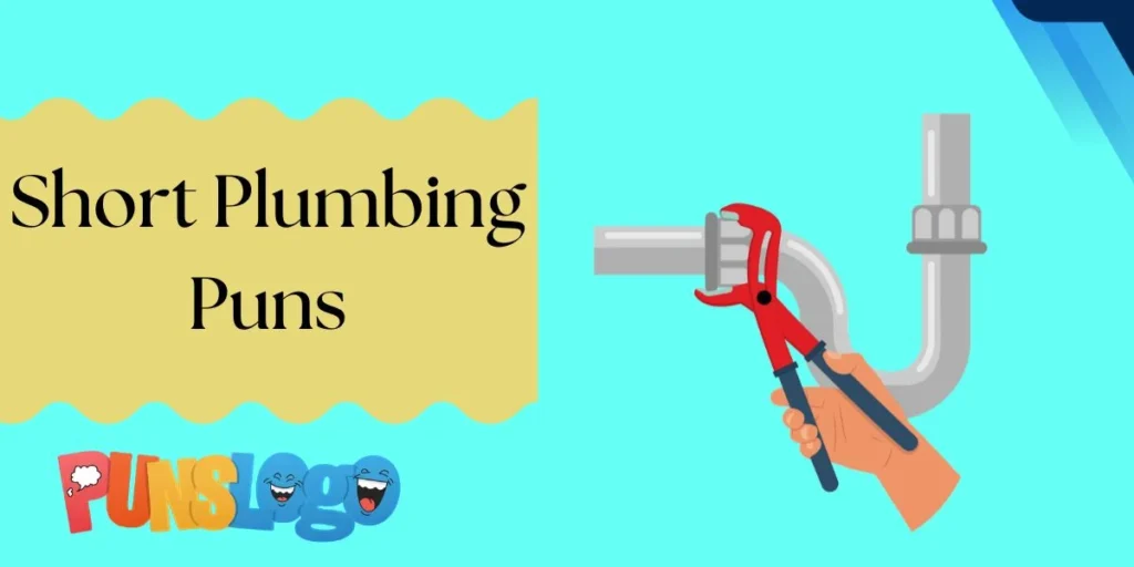 Short Plumbing Puns