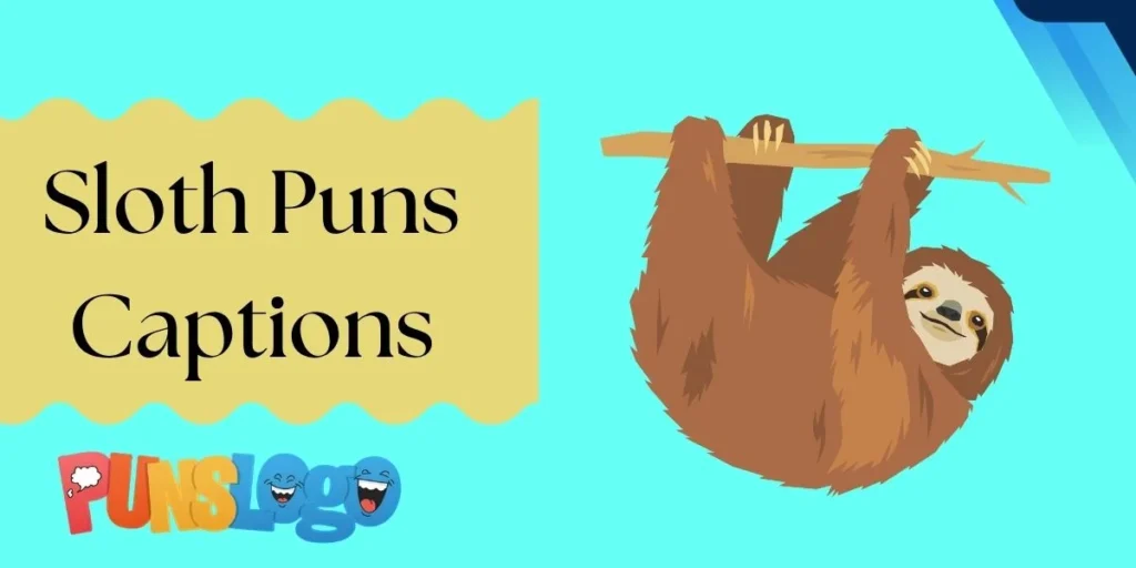 Sloth Puns Captions