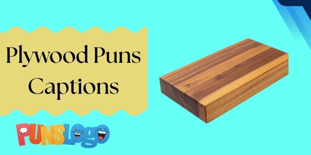 Plywood Puns Captions