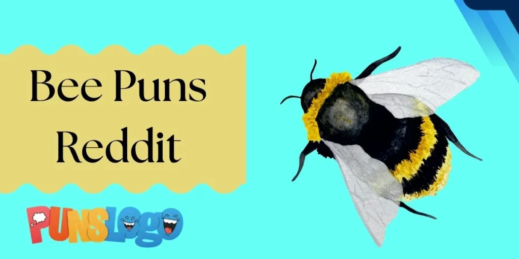 Bee Puns Reddit