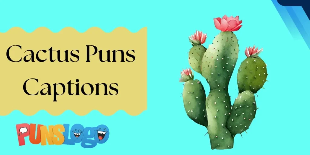 Cactus Puns Captions
