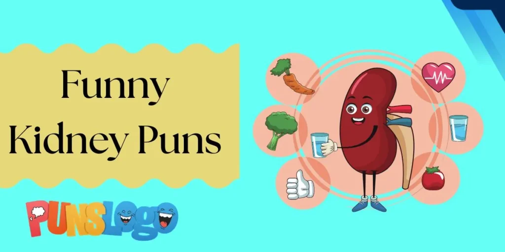 Funny Kidney Puns