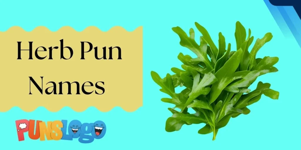 Herb Pun Names