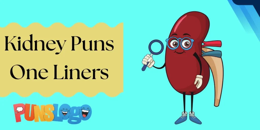Kidney Puns One Liners