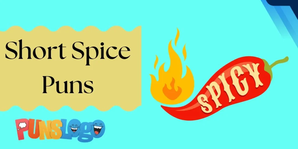 Short Spice Puns