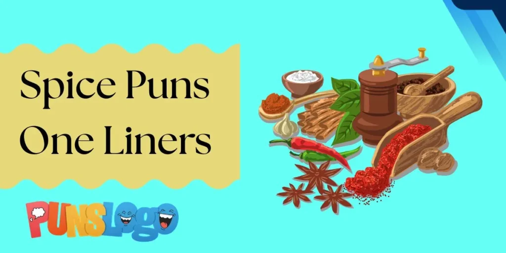 Spice Puns One Liners