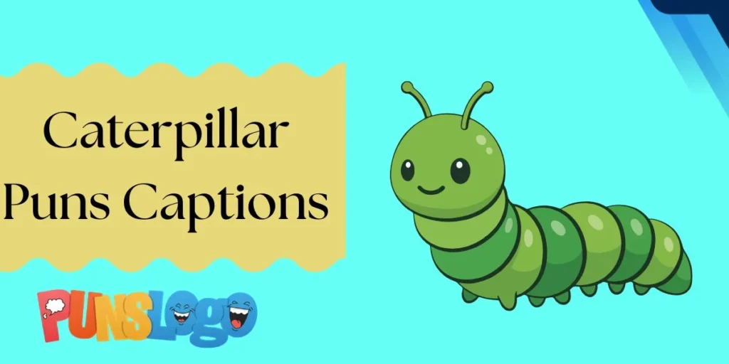 Caterpillar Puns Captions