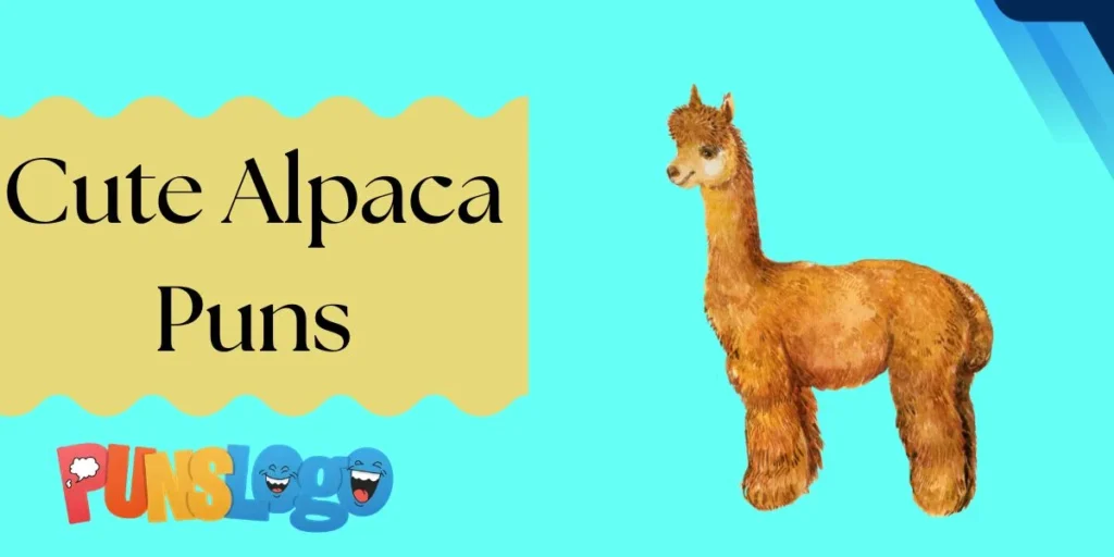 Cute Alpaca Puns