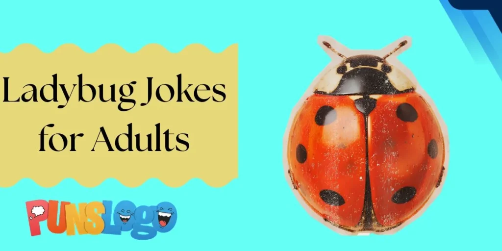 Ladybug Jokes for Adults