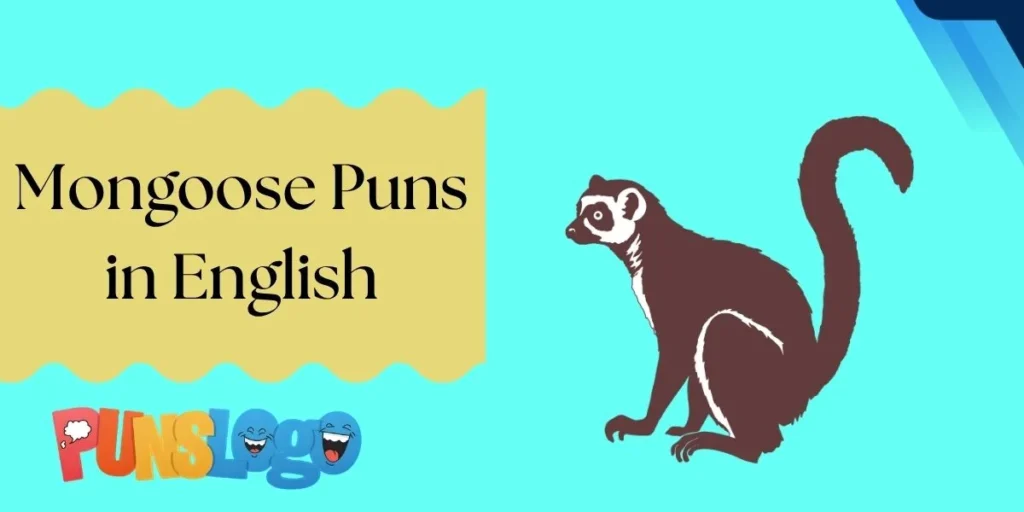 Mongoose Puns in English