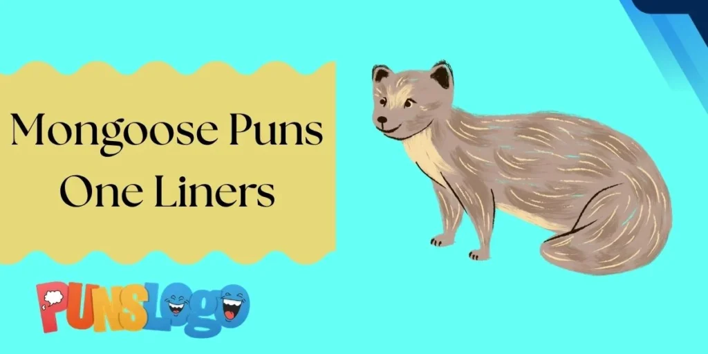 Mongoose Puns One Liners
