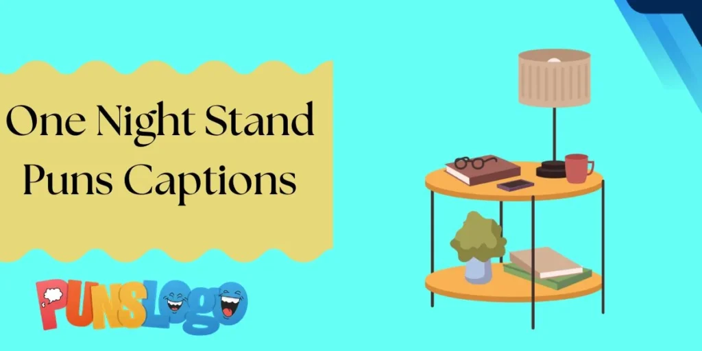 One Night Stand Puns Captions