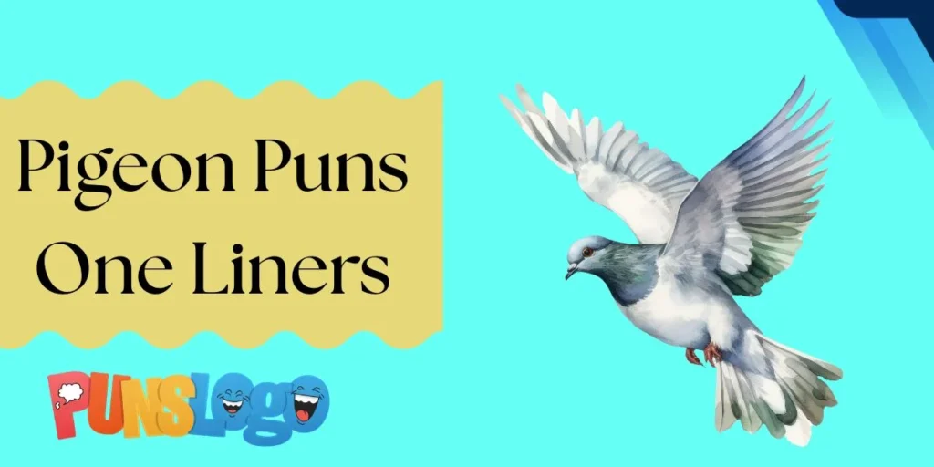 Pigeon Puns One Liners