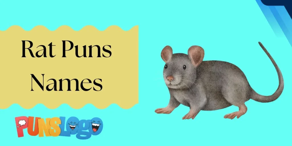 Rat Puns Names