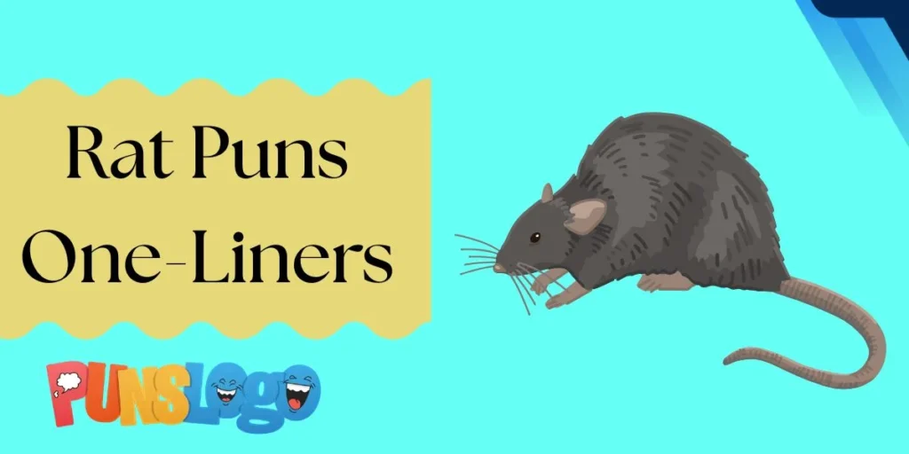Rat Puns One-Liners