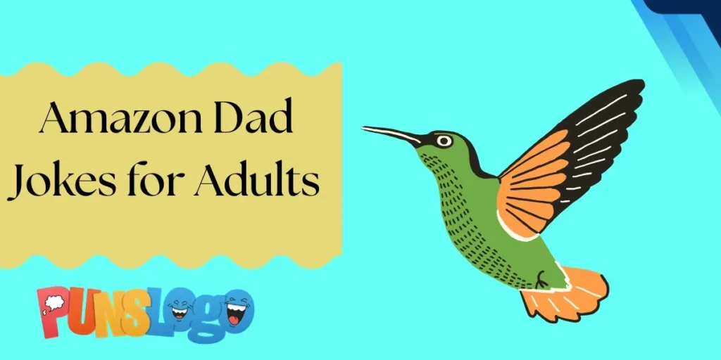 Amazon Dad Jokes for Adults