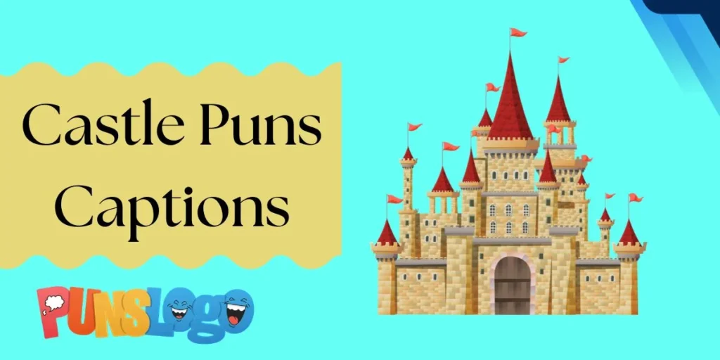 Castle Puns Captions