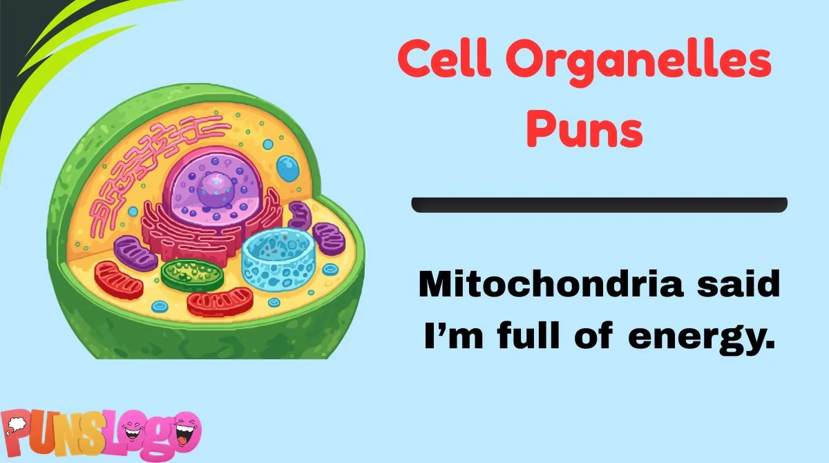 Cell Organelles Puns
