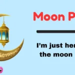 Moon Puns