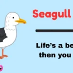 Seagull Puns