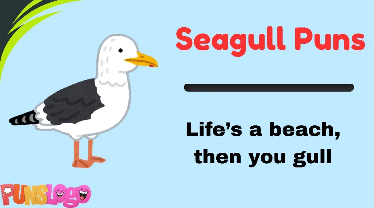 Seagull Puns