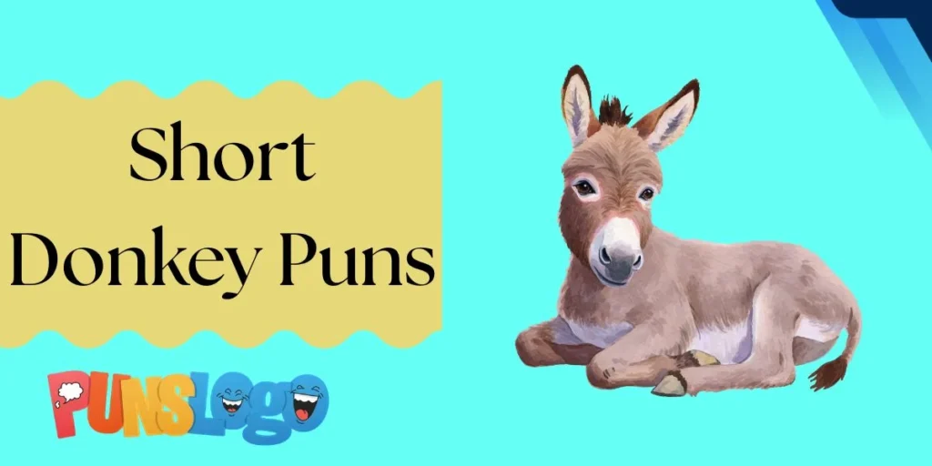 Short Donkey Puns