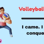 Volleyball Puns
