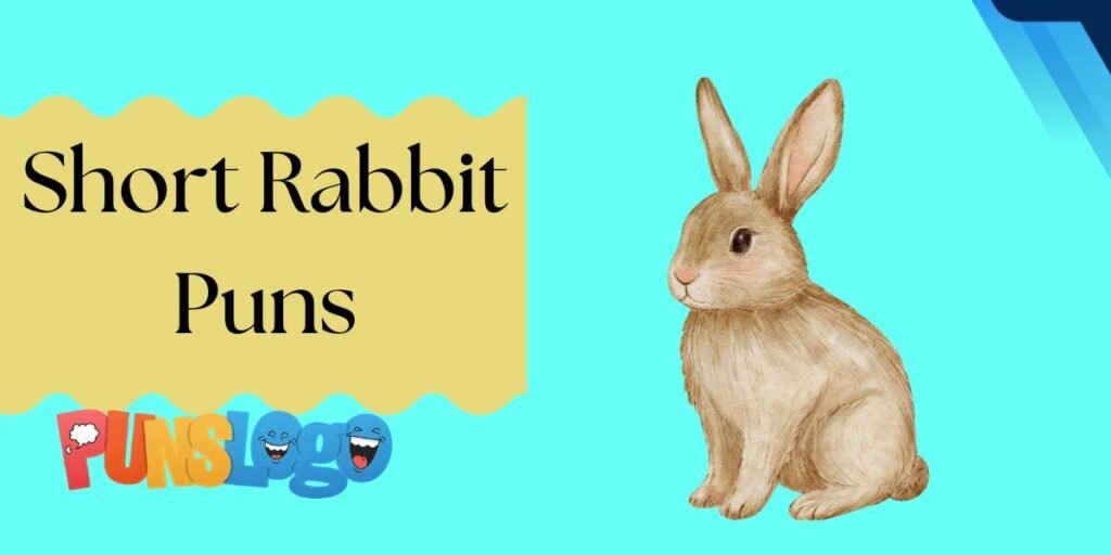 Short Rabbit Puns