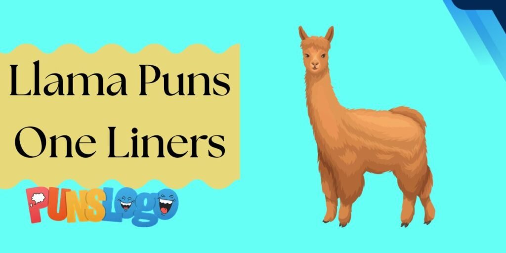 Llama Puns One Liners