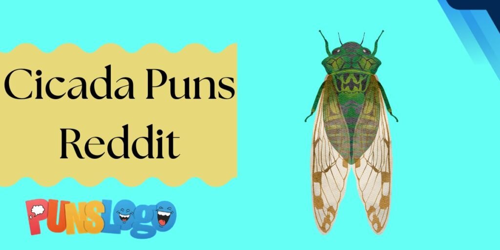 Cicada Puns Reddit