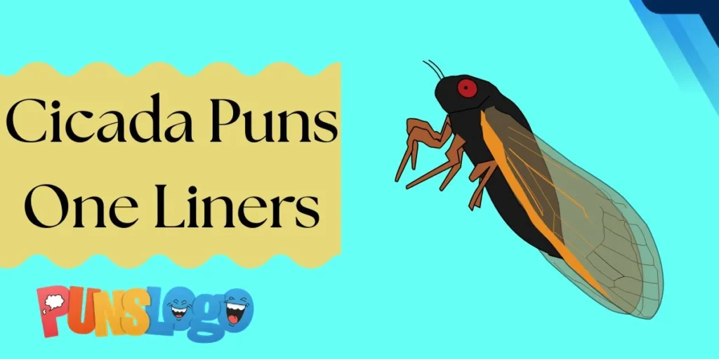 Cicada Puns One Liners