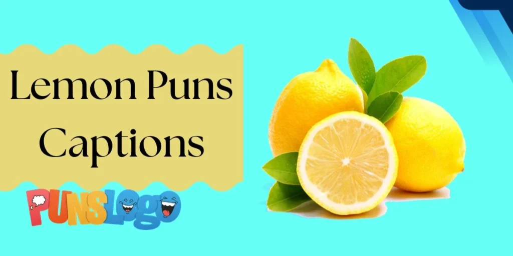 Lemon Puns Captions