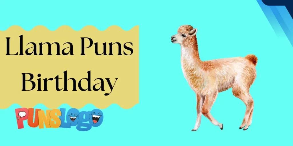 Llama Puns Birthday