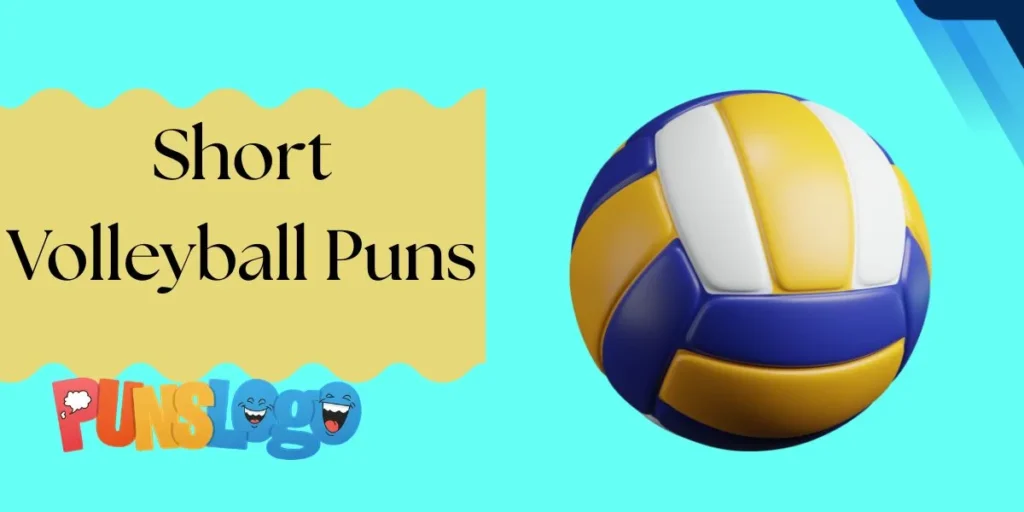 Short Volleyball Puns