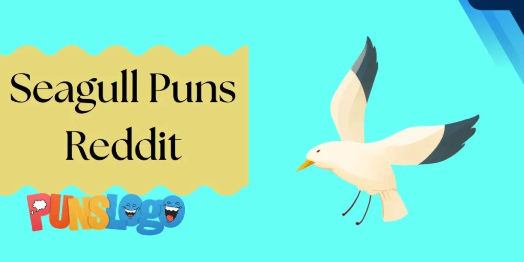Seagull Puns Reddit