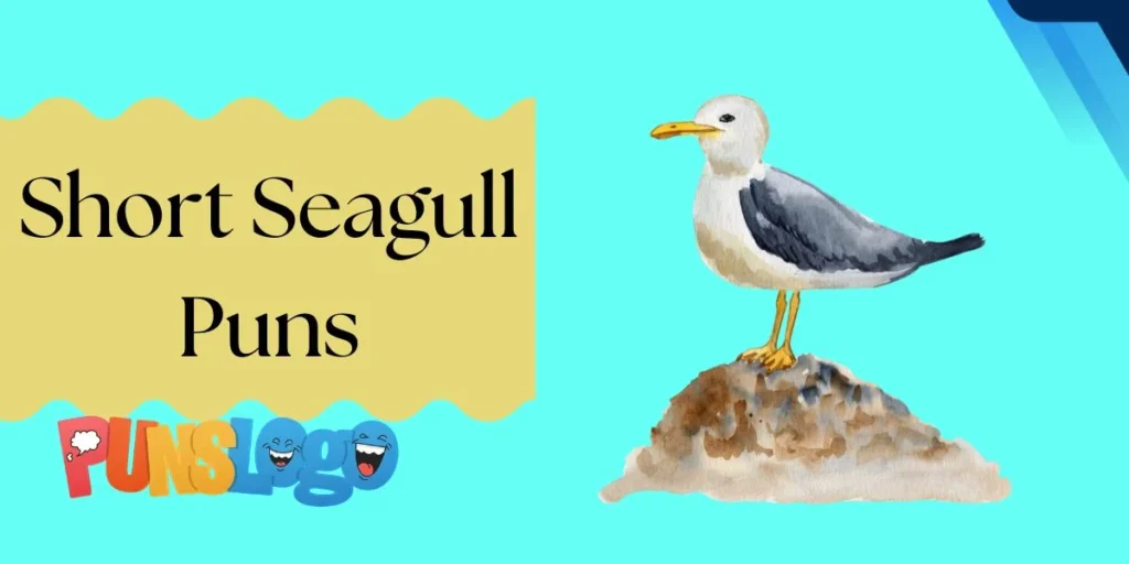 Short Seagull Puns