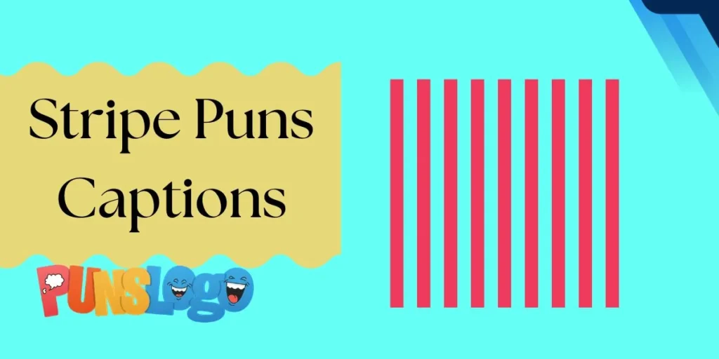 Stripe Puns Captions