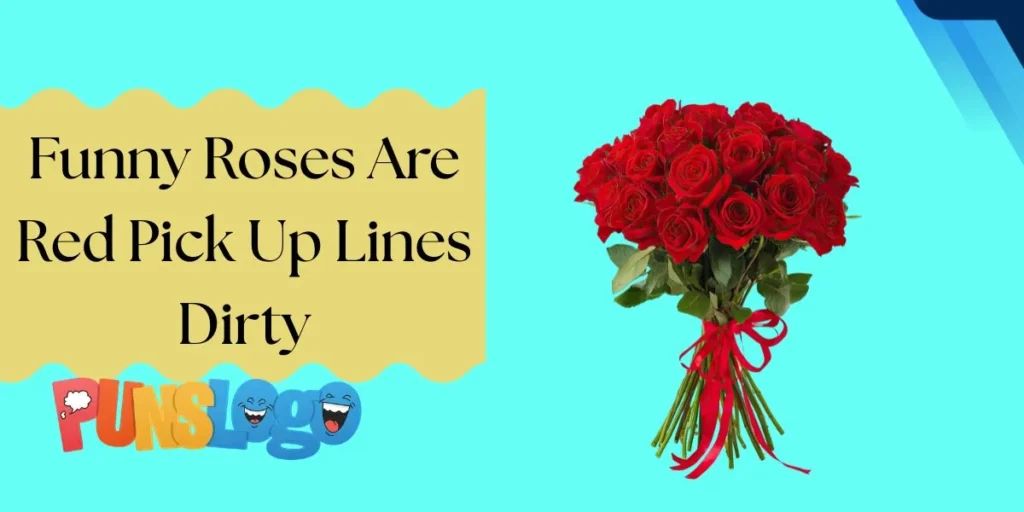 Funny Roses Are Red Pick Up Lines Dirty