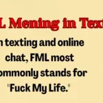 FML Mening in Text