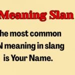 YN Meaning Slang