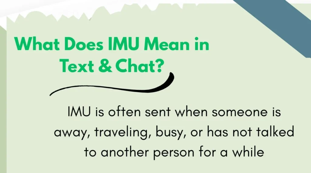What Does IMU Mean in Text & Chat?