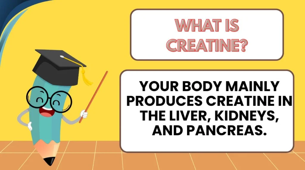 What Is Creatine?
